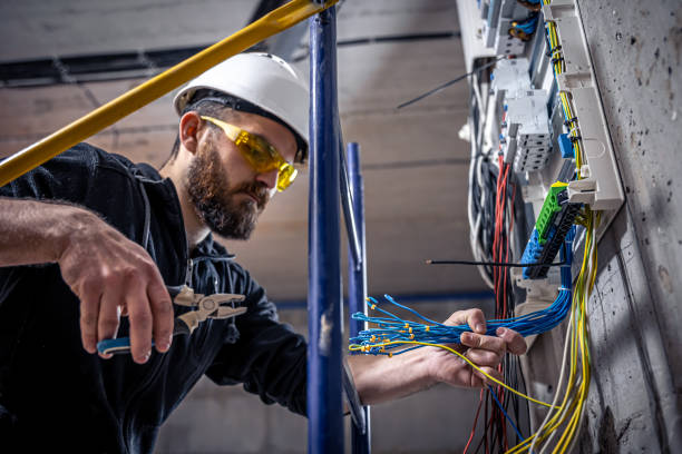 Best Ceiling Fan Installation Electrician  in Mlstadt, IL